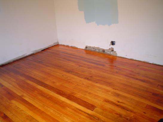 Southern Yellow Pine Floor Termite repair Hagerstown MD